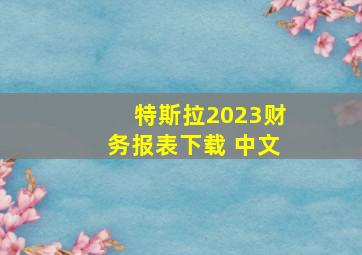 特斯拉2023财务报表下载 中文